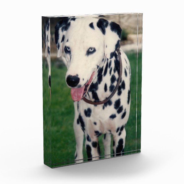 My Pet Friend Upload Your Own Image Custom Dog Cat Photo Block (Left)