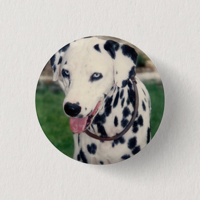 My Pet Friend Upload Your Own Photo Custom  Button (Front)