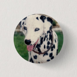 My Pet Friend Upload Your Own Photo Custom Button