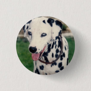 My Pet Friend Upload Your Own Photo Custom Button