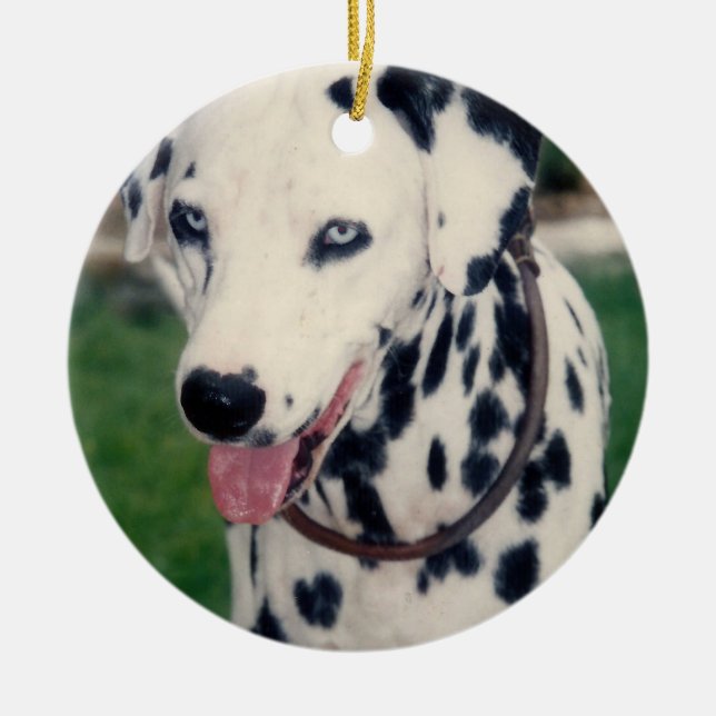 My Pet Friend Upload Your Own Photo Custom  Ceramic Ornament (Front)