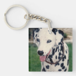 My Pet Friend Upload Your Own Photo Custom Keychain