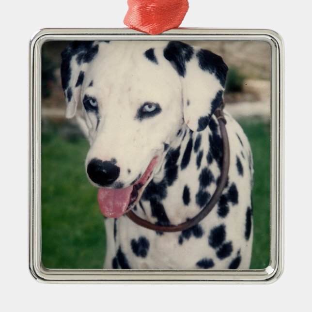 My Pet Friend Upload Your Own Photo Custom  Metal Ornament (Front)