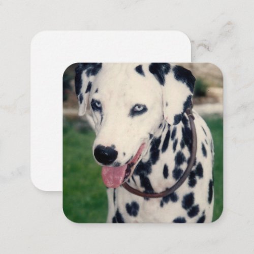 My Pet Friend Upload Your Own Photo Custom Note Card