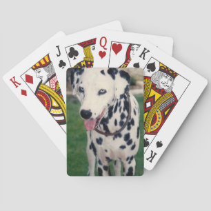 My Pet Friend Upload Your Own Photo Custom   Poker Cards