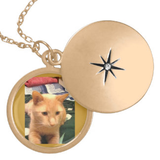 My pet Necklace