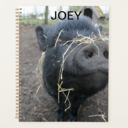 My pet pig planner