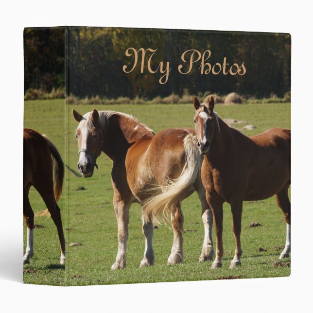 My Photos Binder (Front/Spine)