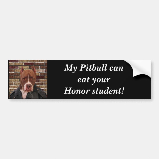 My Pitbull can eat your... Bumper Sticker (Front)