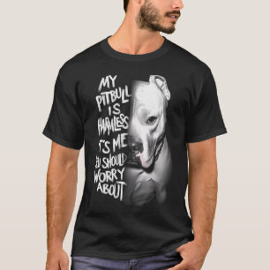 My Pitbull is harmless It's Me You Should Worry T-Shirt