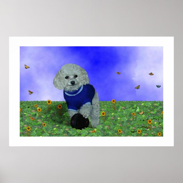 My poodle and his ball. poster (Front)