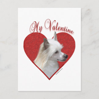 My Powderpuff Chinese Crested Valentine Holiday Postcard