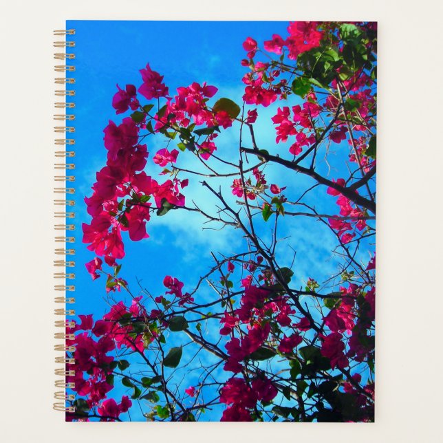 My pretty 2 planner (Front)