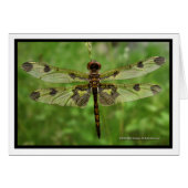 "My Pretty Wings" - Dragonfly (Front Horizontal)