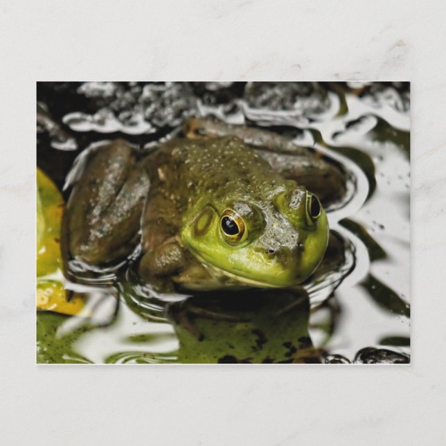 My Prince Postcard (Front)