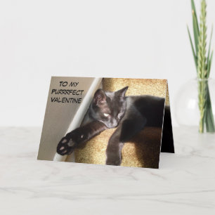 MY PURRFECT VALENTINE KITTY LETTERPRESS THANK YOU CARD