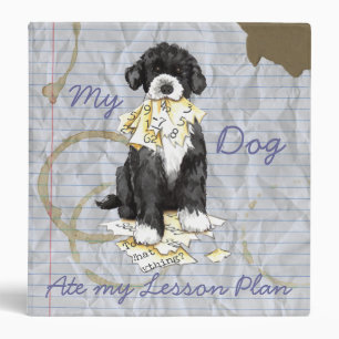 My PWD Ate My Lesson Plan Binder