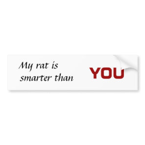 My rat is , smarter than, you bumper sticker
