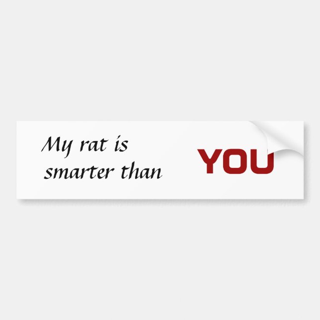 My rat is , smarter than, you bumper sticker (Front)