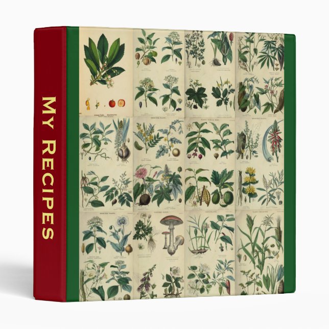 My Recipes ~ Illustrated Flora 3 Ring Binder (Front/Spine)