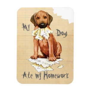 My Rhodesian Ridgeback Ate My Homework Magnet