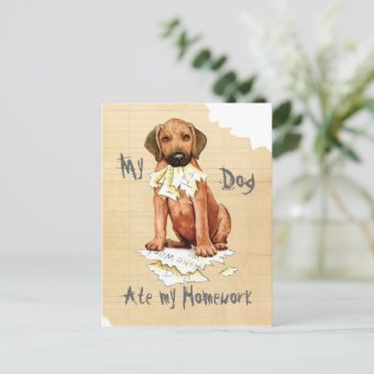 My Rhodesian Ridgeback Ate My Homework Postcard | Zazzle