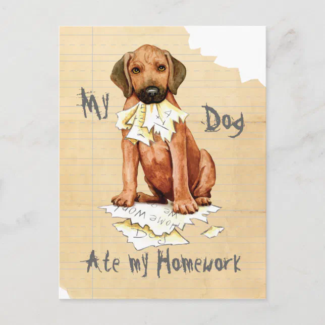 My Rhodesian Ridgeback Ate My Homework Postcard | Zazzle