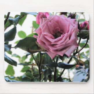 My Rose Mouse Pad