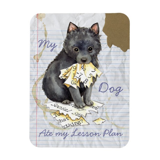My Schipperke Ate My Lesson Plan Magnet (Vertical)