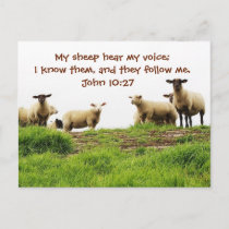 My Sheep Hear My Voice, Bible John 10:27, Custom Postcard
