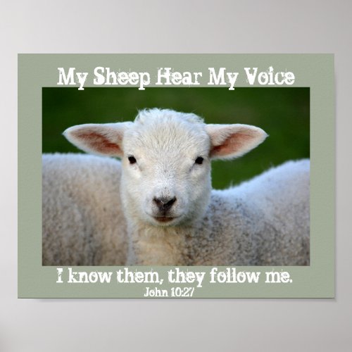 My Sheep Hear My Voice Bible Verse John 1027 Poster