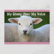 My Sheep Hear My Voice, Bible Verse John 10:27, Poster | Zazzle