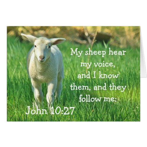 My Sheep Hear My Voice John 1027 Card