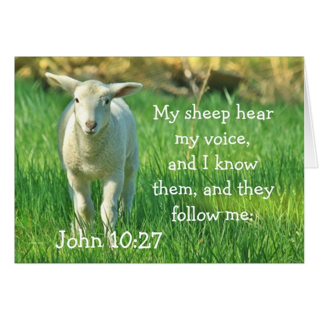 My Sheep Hear My Voice, John 10:27 Card (Front Horizontal)