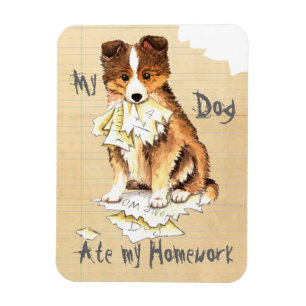 My Sheltie Ate my Homework Magnet