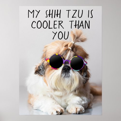 My Shih Tzu Is Cooler Than You Sunglasses Photo Poster