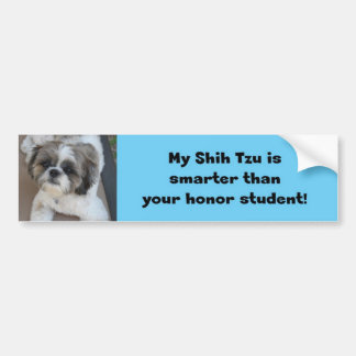 "My Shih Tzu is smarter than your honor student" Bumper Sticker