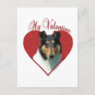 My Smooth Collie Valentine; Tricolor Collie Holiday Postcard