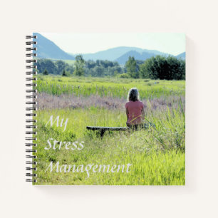 My Stress Management Journal