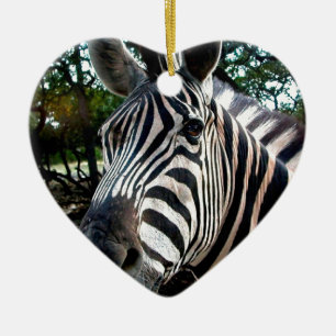 My  Strippy Friend Ceramic Ornament