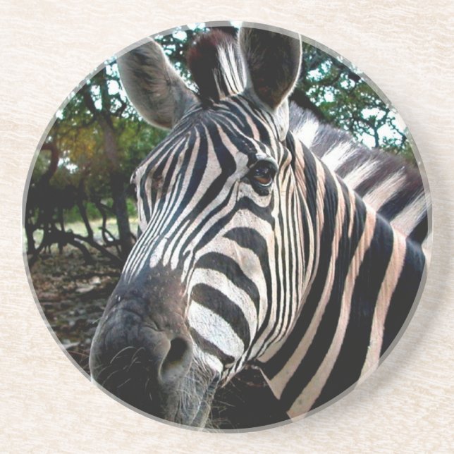 My  Strippy Friend Drink Coaster (Front)