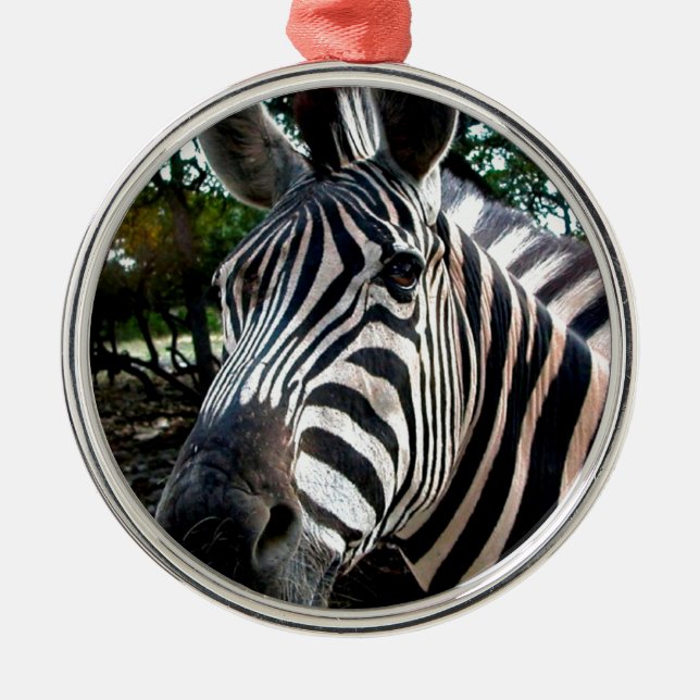 My  Strippy Friend Metal Ornament (Front)