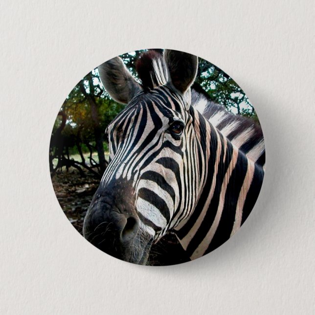 My  Strippy Friend Pinback Button (Front)