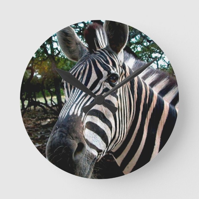 My  Strippy Friend Round Clock (Front)