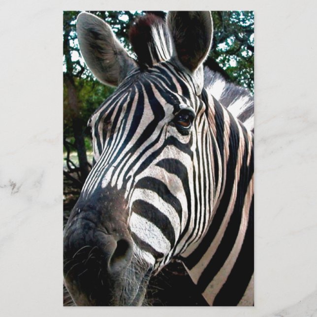 My  Strippy Friend Stationery (Front)