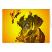 My Sunshine (Front Horizontal)