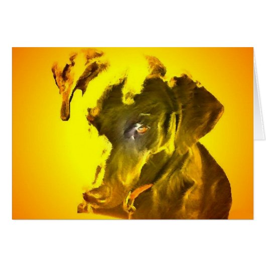 My Sunshine (Front Horizontal)