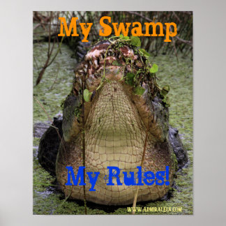 My Swamp My Rules Poster