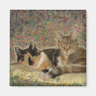 My Sweet Kitties magnet