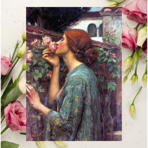 My_Sweet_Rose Postcard